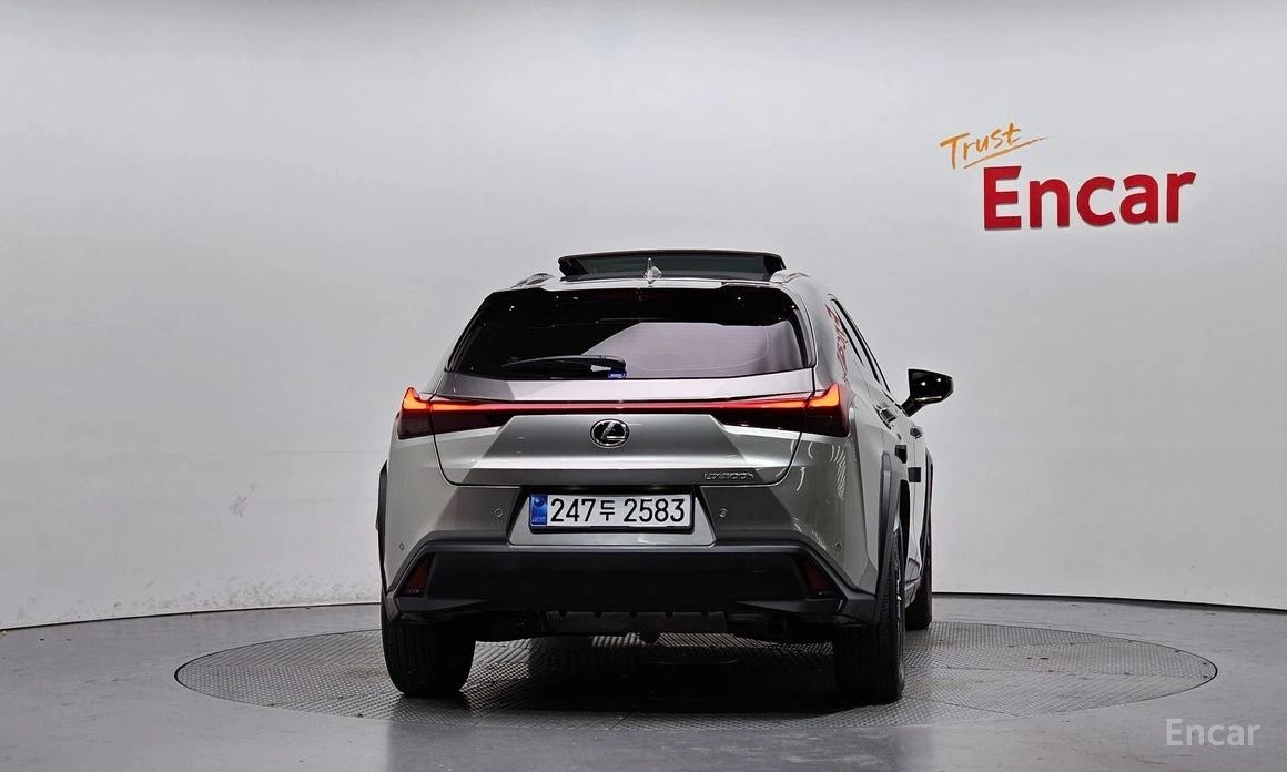 Lexus UX300h 2.0 2WD