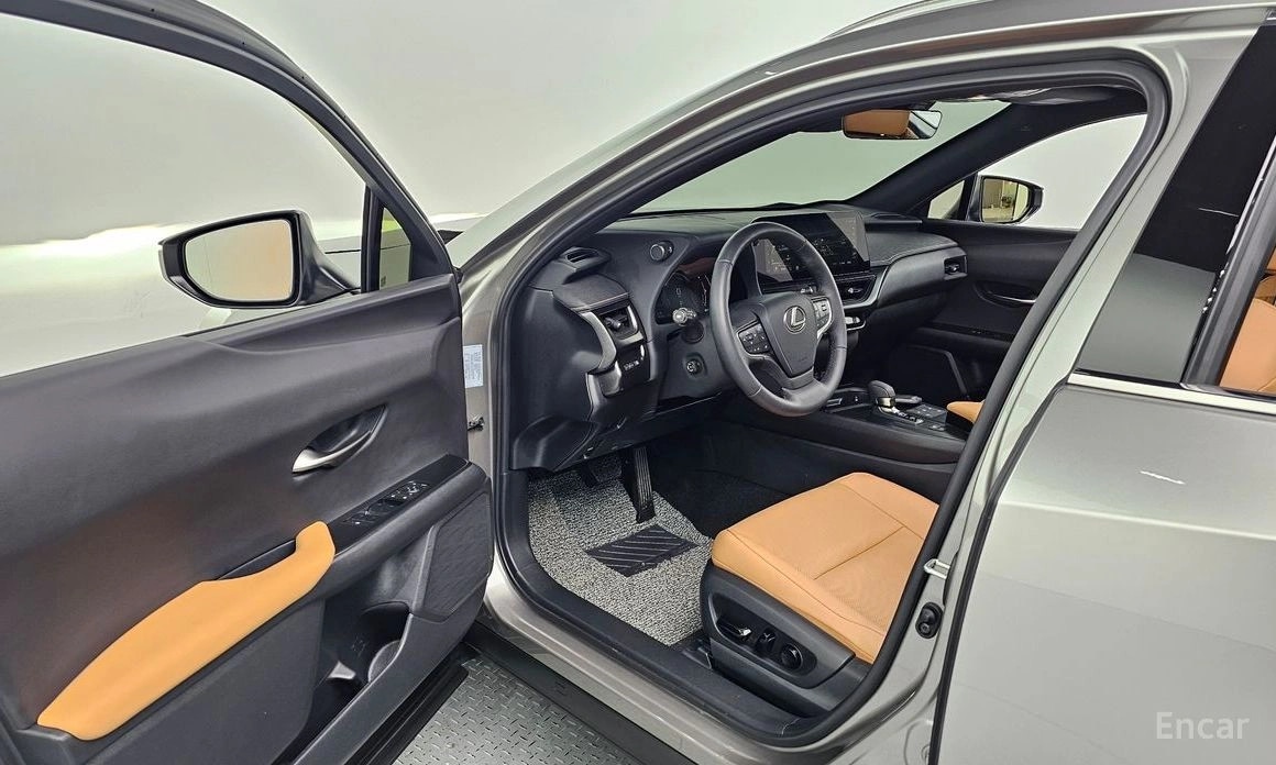 Lexus UX300h 2.0 2WD