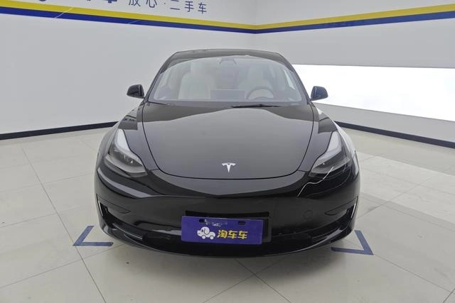Tesla Model 3 D6
