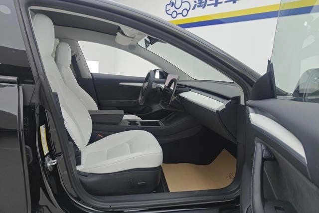 Tesla Model 3 D6
