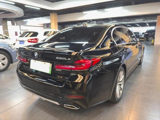 BMW 5 PHEV 530Le