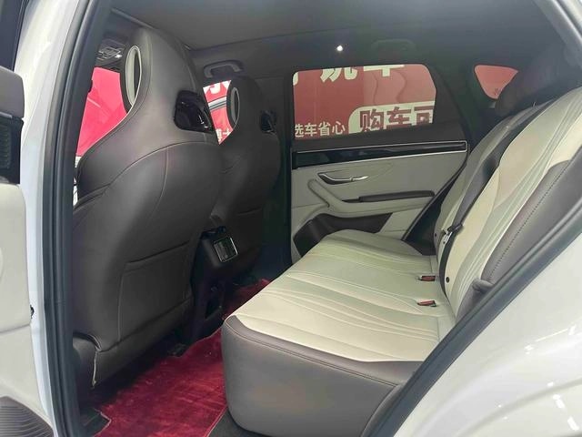 BYD PLUS EV520KM