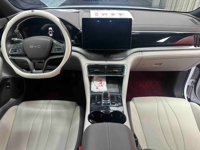 BYD PLUS EV520KM