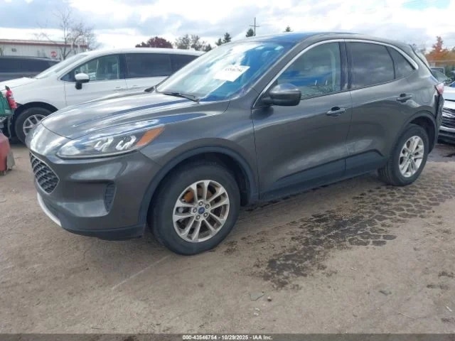 Ford Escape, SE